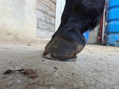 WhatsApp Image 2025-01-17 at 16.52.37.jpeg