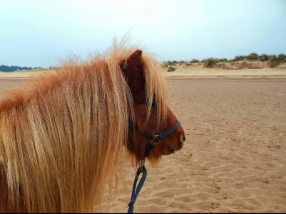 Screenshot_20250118_194412_Gallery.jpg Screenshot_20250118_194412_Gallery.jpg