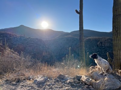 IMG_6374.jpeg IMG_6374.jpeg