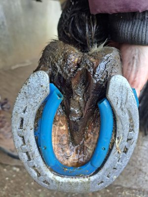 WhatsApp Image 2025-01-21 at 13.59.39 (1).jpeg