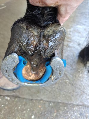 WhatsApp Image 2025-01-21 at 13.59.39.jpeg