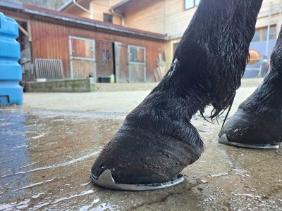 WhatsApp Image 2025-01-21 at 13.59.40 (4).jpeg