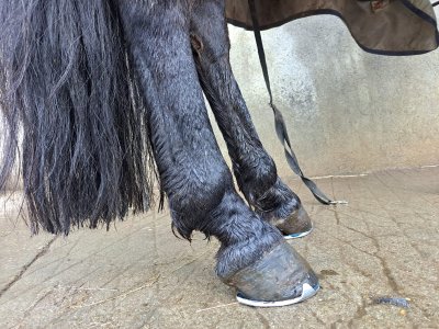 WhatsApp Image 2025-01-21 at 13.59.40 (3).jpeg