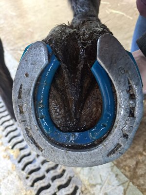 WhatsApp Image 2025-01-21 at 13.59.40 (2).jpeg