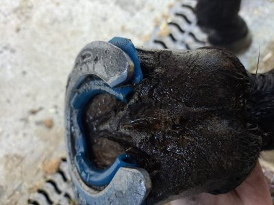 WhatsApp Image 2025-01-21 at 13.59.40 (1).jpeg