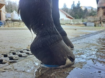 WhatsApp Image 2025-01-21 at 13.59.40.jpeg