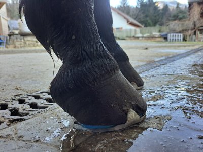 WhatsApp Image 2025-01-21 at 13.59.41 (4).jpeg