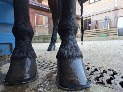 WhatsApp Image 2025-01-21 at 13.59.41 (3).jpeg