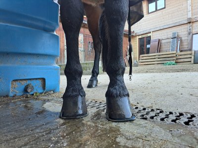 WhatsApp Image 2025-01-21 at 13.59.41 (2).jpeg