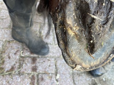 IMG_2960.jpeg IMG_2960.jpeg