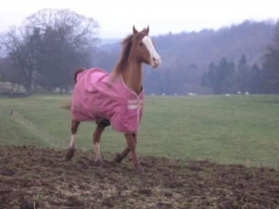 FB_IMG_1737529504624.jpg FB_IMG_1737529504624.jpg