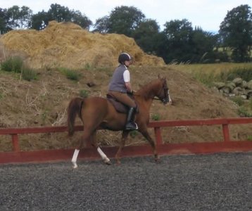 FB_IMG_1737529488127.jpg FB_IMG_1737529488127.jpg