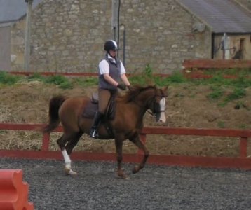 FB_IMG_1737529478433.jpg FB_IMG_1737529478433.jpg