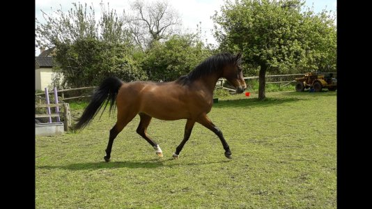 Screenshot_20250122-164955_Gallery.jpg Screenshot_20250122-164955_Gallery.jpg