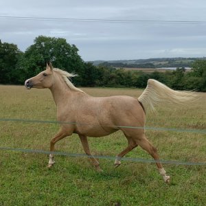 C1EDD3CE-6118-4764-B6D4-FEED7F5D77EC.jpeg C1EDD3CE-6118-4764-B6D4-FEED7F5D77EC.jpeg