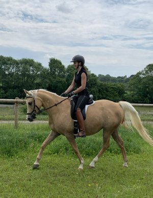 IMG_8038.jpeg IMG_8038.jpeg