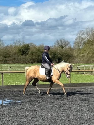 IMG_9251.jpeg IMG_9251.jpeg