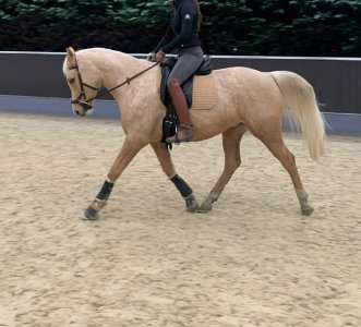 IMG_5686.jpeg IMG_5686.jpeg