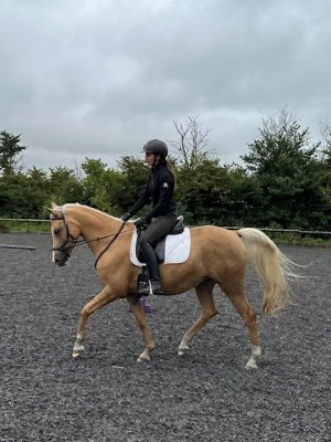 IMG_9477.jpeg IMG_9477.jpeg