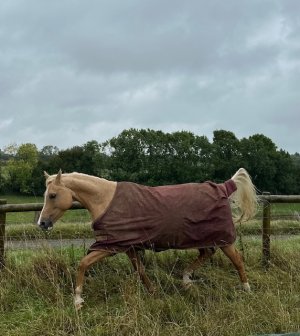 IMG_3894.jpeg IMG_3894.jpeg