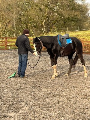 Myka Joe small.jpg Myka Joe small.jpg