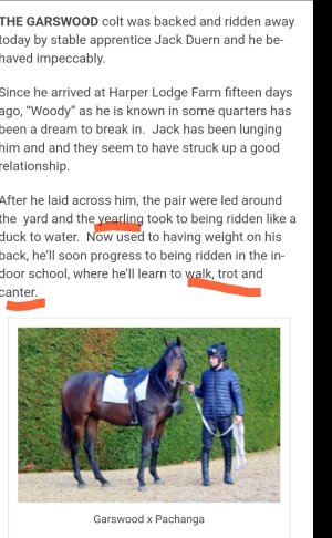 Screenshot_20250125_204834_Photo Editor.jpg