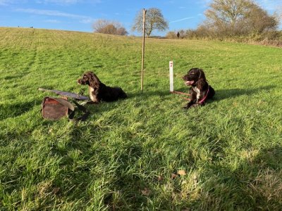 image1.jpeg image1.jpeg