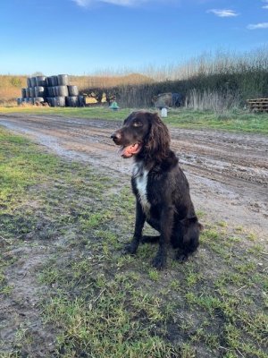 image0.jpeg image0.jpeg