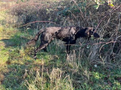 IMG_3844.jpeg IMG_3844.jpeg