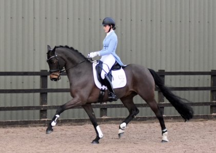 IMG_6830.jpeg IMG_6830.jpeg