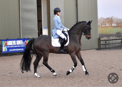 IMG_6831.jpeg IMG_6831.jpeg