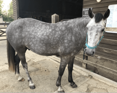 Screenshot 2025-01-27 at 12.56.23.png