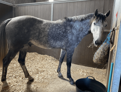 Screenshot 2025-01-27 at 12.58.37.png