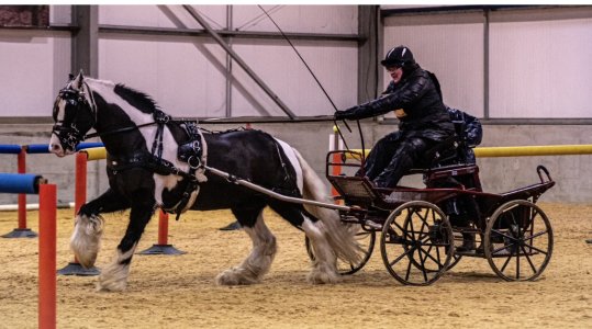 70F0F400-1FEC-4E51-8C9A-3AA7179A002D.jpeg 70F0F400-1FEC-4E51-8C9A-3AA7179A002D.jpeg