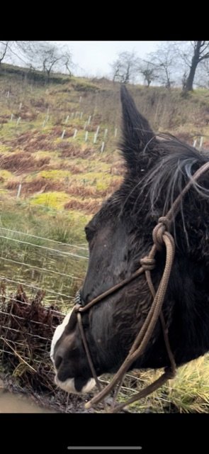 5D72F47F-26ED-47DF-BE07-E6DF161D6ED5.jpeg 5D72F47F-26ED-47DF-BE07-E6DF161D6ED5.jpeg