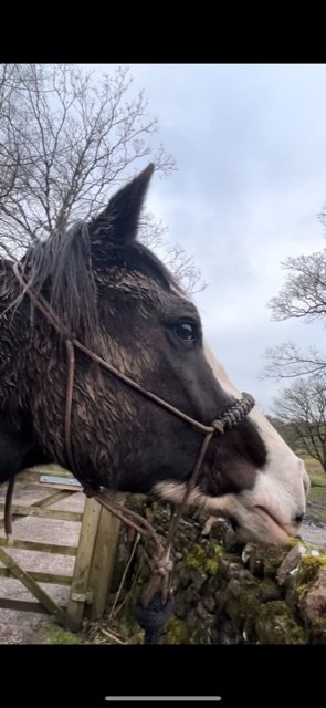 93A80DA5-BB53-4EA7-AEE3-3F9D874DAE0E.jpeg 93A80DA5-BB53-4EA7-AEE3-3F9D874DAE0E.jpeg