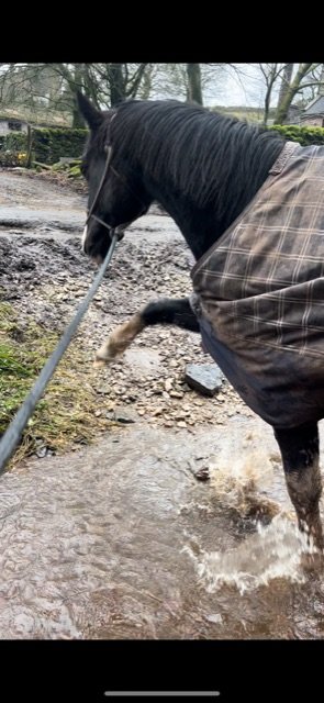 622209AA-2BEE-451E-81AB-5DB00631AEDF.jpeg 622209AA-2BEE-451E-81AB-5DB00631AEDF.jpeg