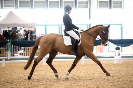 1000007829.jpg 1000007829.jpg