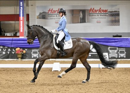 IMG_6976.jpeg IMG_6976.jpeg