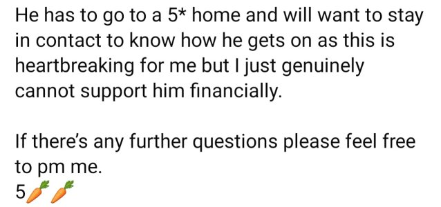 1738569639236.jpeg 1738569639236.jpeg