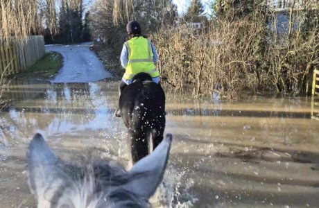 472560488_1234004984368333_5843722577808859410_n (1).jpg