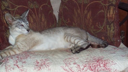 greg and kats staircase 003.JPG