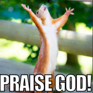 1738687986366.png 1738687986366.png