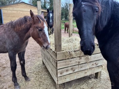 IMG_2646.jpeg IMG_2646.jpeg