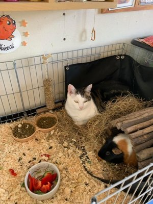 IMG_0443.jpeg IMG_0443.jpeg