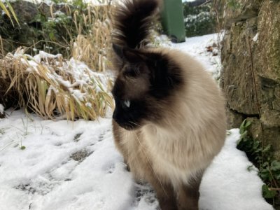 IMG_0044.jpeg IMG_0044.jpeg