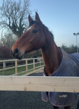 IMG_5973.jpeg IMG_5973.jpeg