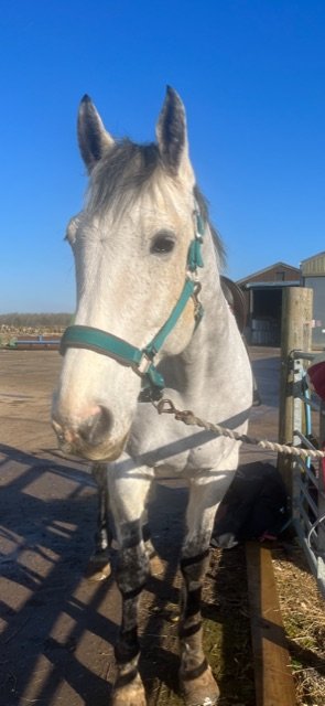 D6283422-CE34-4E22-A174-977F7B9EE66B.jpeg D6283422-CE34-4E22-A174-977F7B9EE66B.jpeg