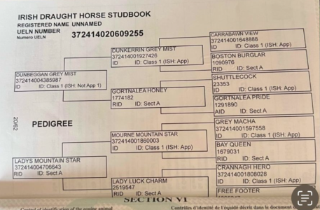 1738930823400.png 1738930823400.png