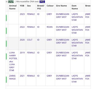 IMG_5977.jpeg IMG_5977.jpeg